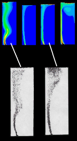 Bubble column, comparison between simulations and experimental observations