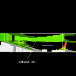 Temperaturverteilung bei 80% Belegung